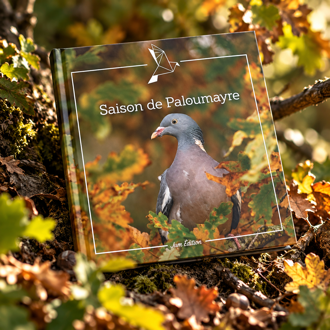 CARNET SAISON DE PALOUMAYRE