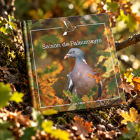 CARNET SAISON DE PALOUMAYRE