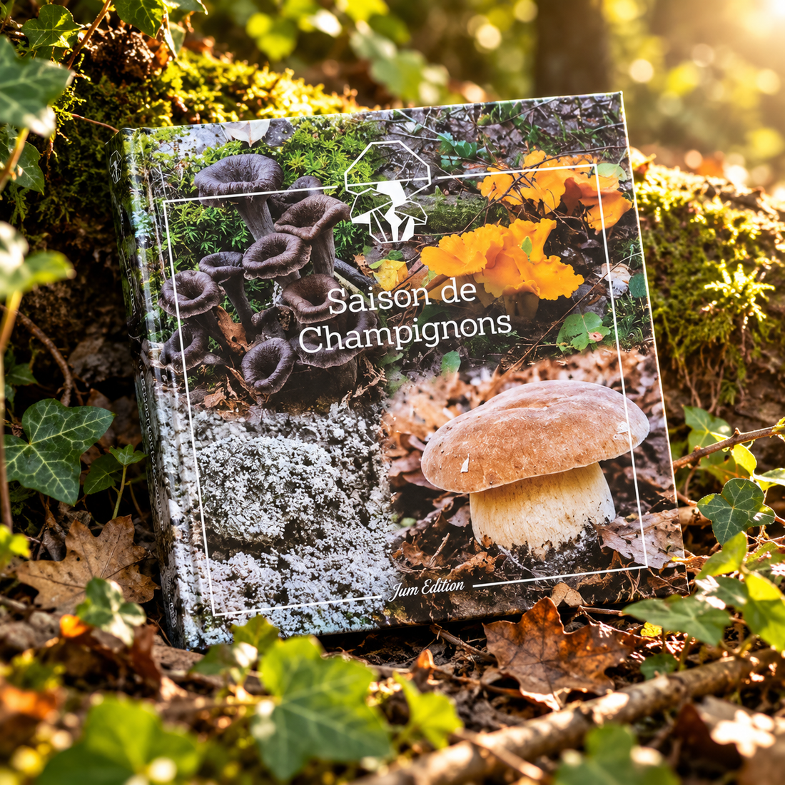 CARNET DE SAISON DE CHAMPIGNONS