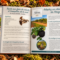CARNET DE SAISON DE CHAMPIGNONS