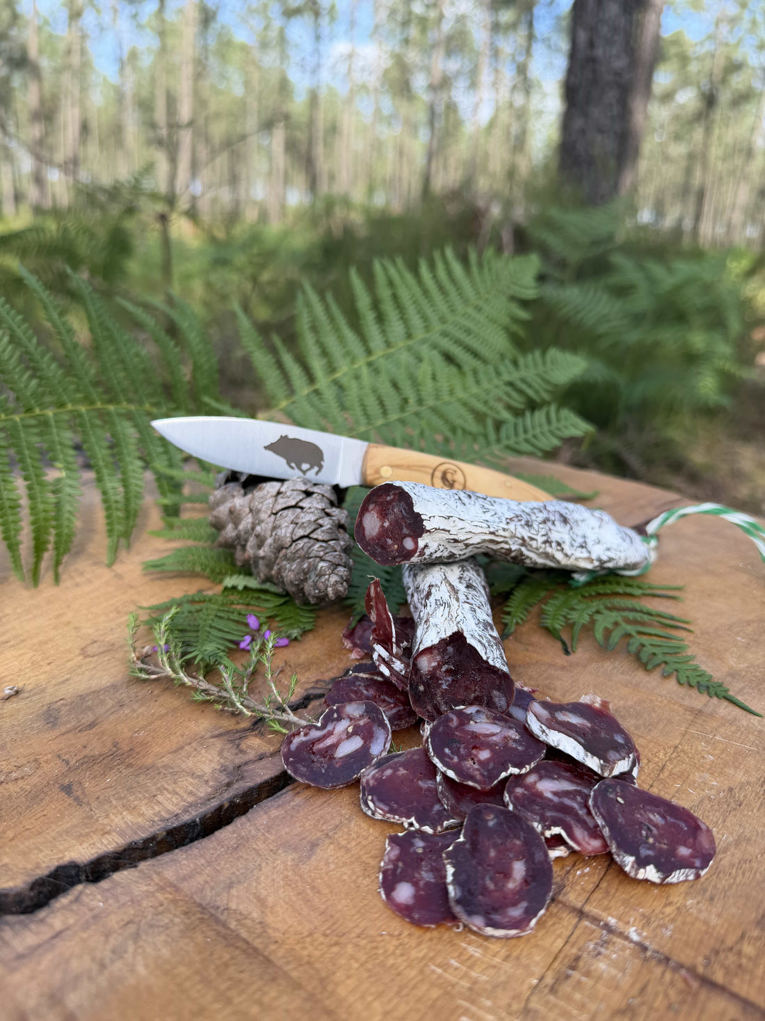 SAUCISSE SECHE DE SANGLIER