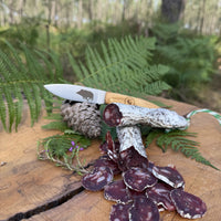 SAUCISSE SECHE DE SANGLIER