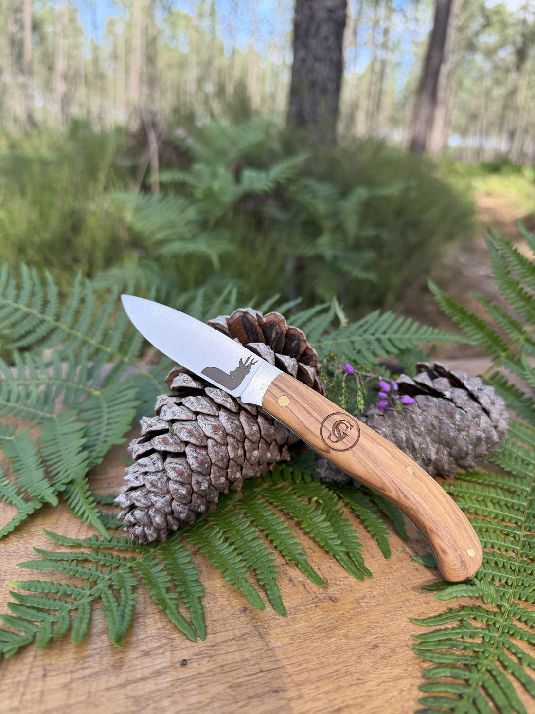 COUTEAU GASCOGNE SAUVAGE – COLLECTION CHEVREUIL
