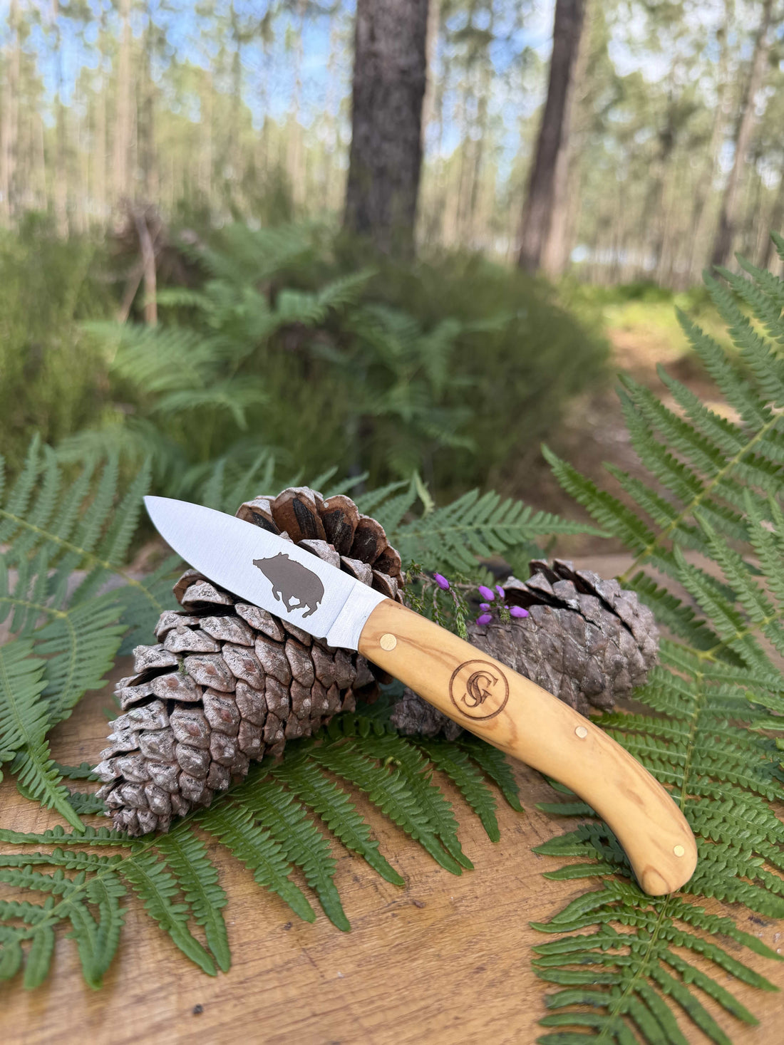 COUTEAU GASCOGNE SAUVAGE – COLLECTION SANGLIER