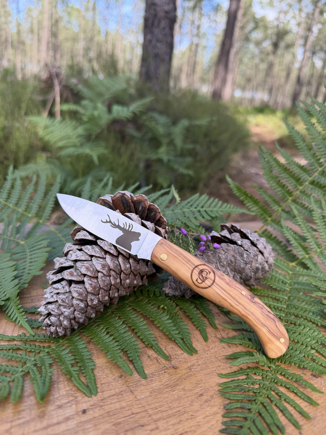 COUTEAU GASCOGNE SAUVAGE – COLLECTION CERF