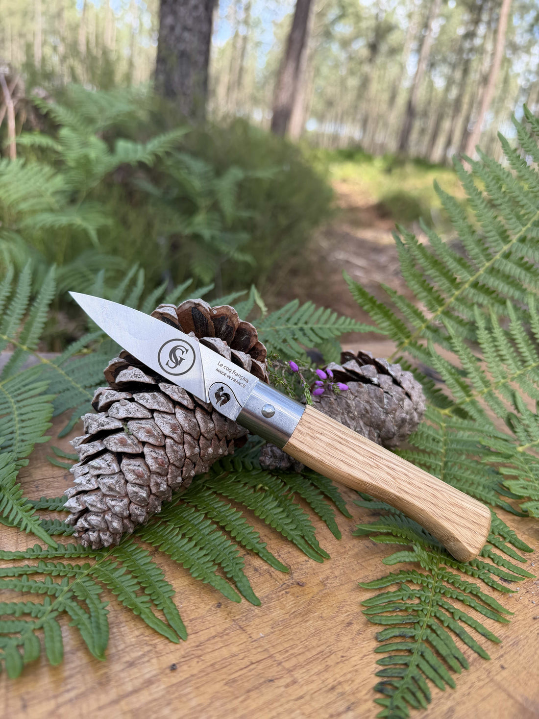 COUTEAU GASCOGNE SAUVAGE × LE COQ FRANÇAIS